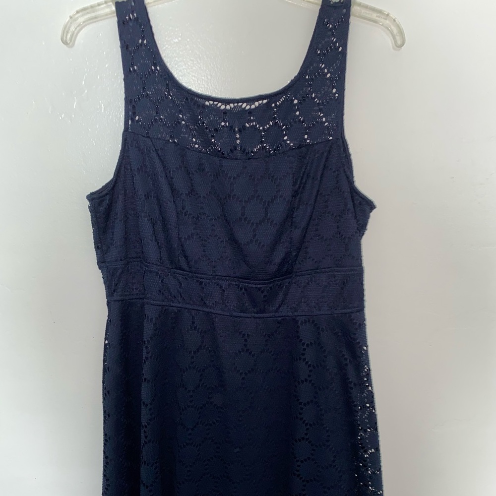 Trixxi knee high Navy blue dress
